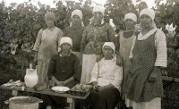 Vrbovečke seljanke u berbi grožđa, snimljeno oko 1925. godine